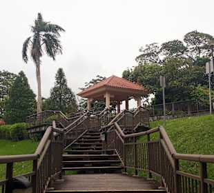 Marang Trail auf den Mount Faber