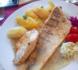 Fisch 