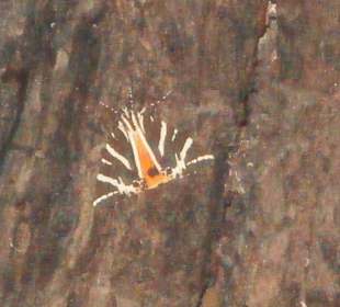 Ausflug Schmetterlingstal