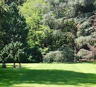Picknick im Parkgelände!