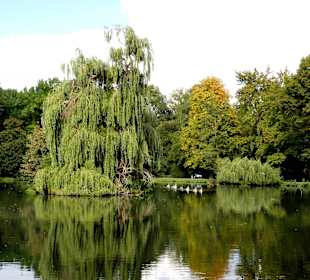 Spaziergang durch den Levinschen Park