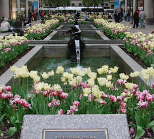 Rockefeller Center