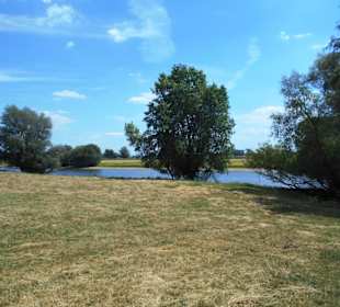 Grietherorter Altrhein