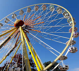 Impressionen vom Einbecker Eulenfest