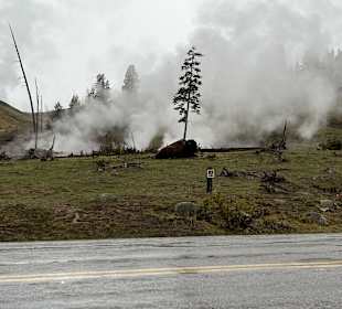 Yellowstone Nationalpark