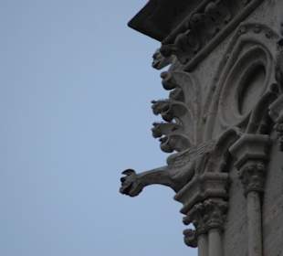 Dettaglio dell'architettura