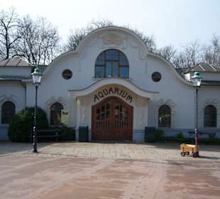 Aquariumeingang