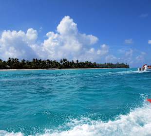 Ausflug nach Saona Schnellboote