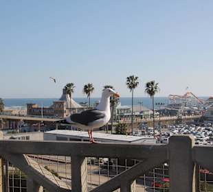 Santa Monica Pier