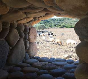 Inselrundfahrt Sardinien