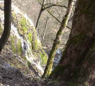Gütersteiner Wasserfall