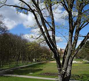 Wandern Bad Windsheim