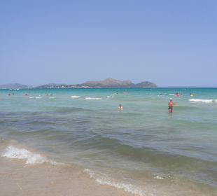 Immer genügend Platz im Wasser 