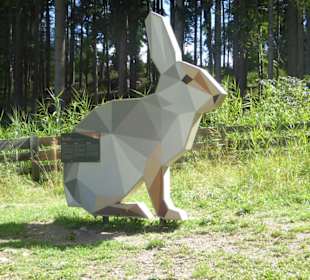 Wandern Oberbozen nach Maria Saal