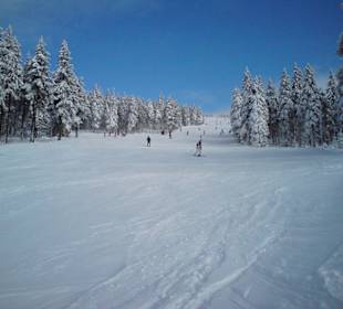 Harrachov