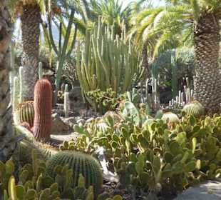 Kaktuspark