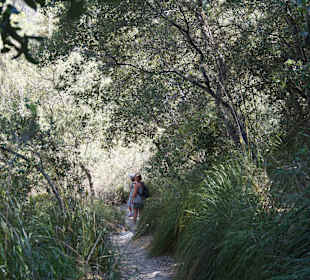 Weg