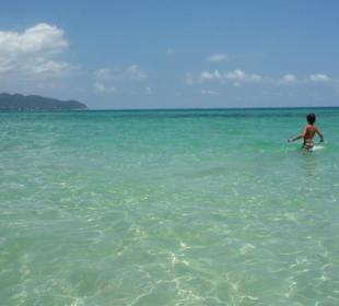 Strand am Hotel Hipotels Hipocampo Palace & Spa