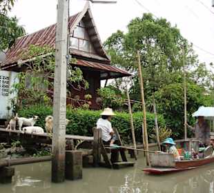 Schwimmender Händler!