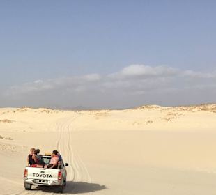 Wilde Fahrt durch die Dünen 