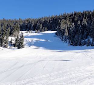 Impressionen vom Pründlkopf