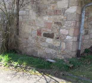 Riedkelter Hirschau