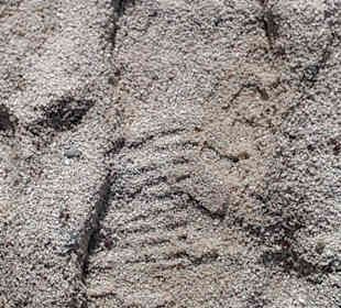 Spuren im Sand