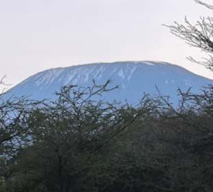 Kilimandscharo 
