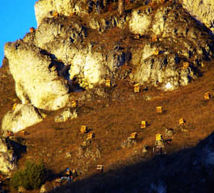 Wird lange vorher aufgebaut