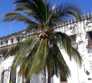People’s Palace Museum
