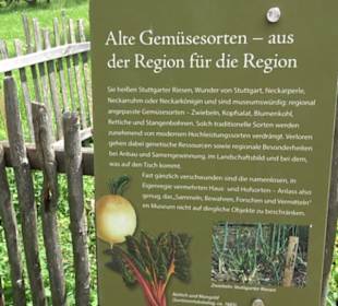 Freilichtmuseum Beuren