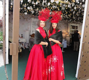 Funchal Weihnachtsschönheiten