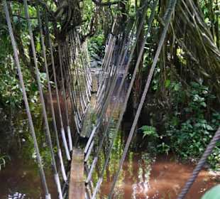 Burgers Zoo - Hängebrücke