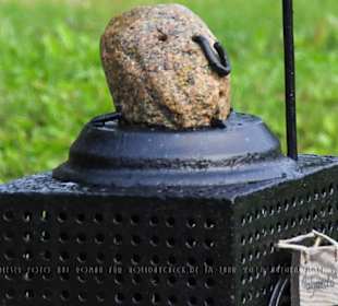 Valgundis, Mitglied der Bruninieku Parade