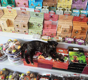 Einkaufen & Shopping