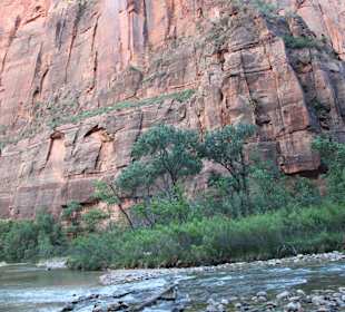 Zion Park
