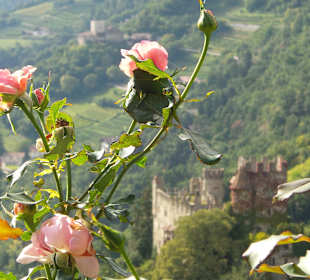 Blick auf die Brunnenburg