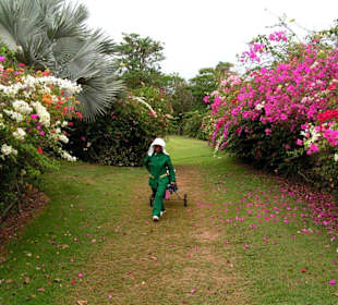 Phoenix Golf Club, Pattaya