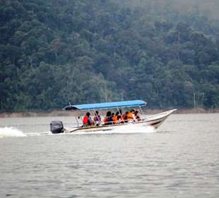 Dschungel- und Bootstour