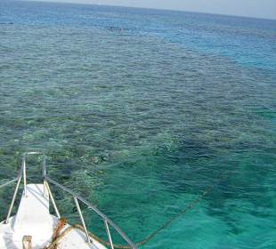 Korallenriff Magawish