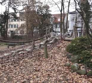 Altstadt 