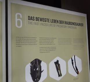 Dinosaurier Museum Altmühltal