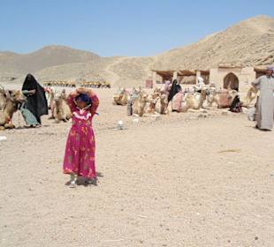 Im Beduinendorf