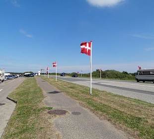 Der Weg Richtung Strand