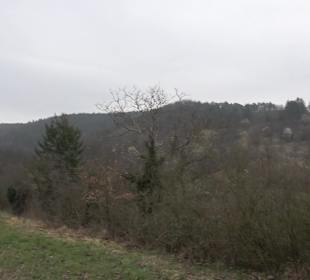 Unterjesinger Wengertwegle