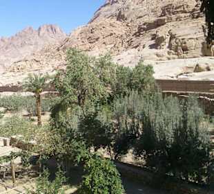 St. Katharina Kloster