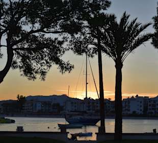 Yachthafen Alcudia