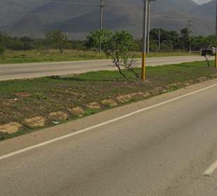 Auf dem Weg in die Berge