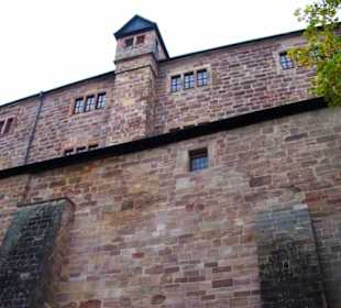 Seitliche hintere Ansicht