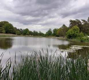 Seewoog in Ramstein-Miesenbach